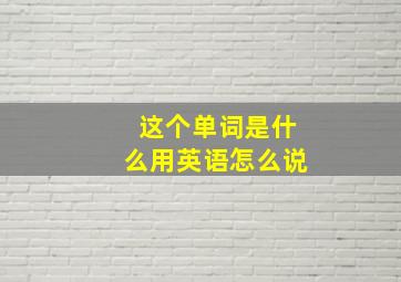 这个单词是什么用英语怎么说