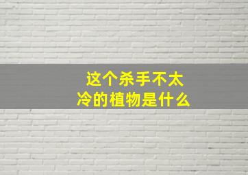 这个杀手不太冷的植物是什么