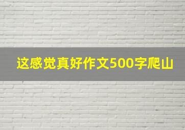 这感觉真好作文500字爬山