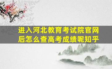 进入河北教育考试院官网后怎么查高考成绩呢知乎