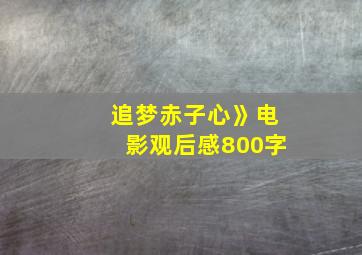 追梦赤子心》电影观后感800字