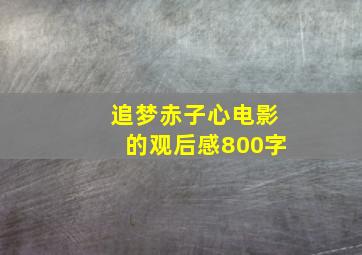 追梦赤子心电影的观后感800字