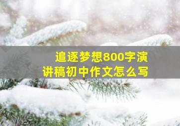 追逐梦想800字演讲稿初中作文怎么写