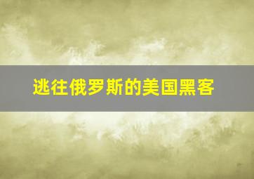 逃往俄罗斯的美国黑客