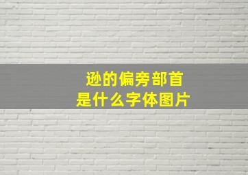 逊的偏旁部首是什么字体图片