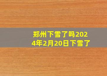 郑州下雪了吗2024年2月20日下雪了