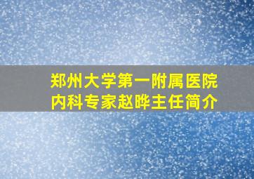 郑州大学第一附属医院内科专家赵晔主任简介