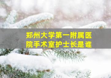 郑州大学第一附属医院手术室护士长是谁