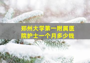 郑州大学第一附属医院护士一个月多少钱