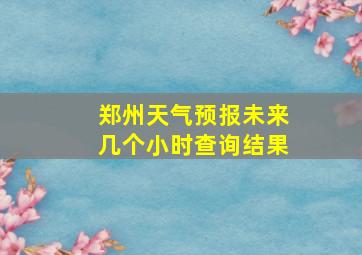 郑州天气预报未来几个小时查询结果