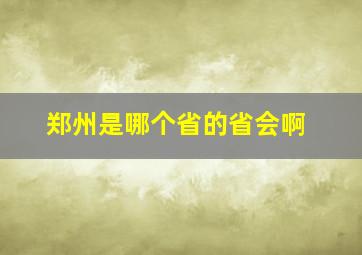 郑州是哪个省的省会啊