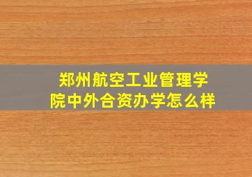 郑州航空工业管理学院中外合资办学怎么样