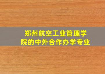 郑州航空工业管理学院的中外合作办学专业