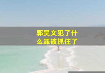 郭昊文犯了什么罪被抓住了