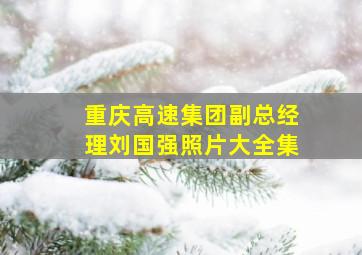 重庆高速集团副总经理刘国强照片大全集