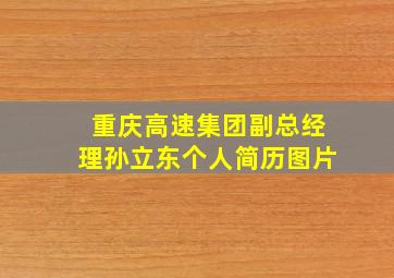 重庆高速集团副总经理孙立东个人简历图片