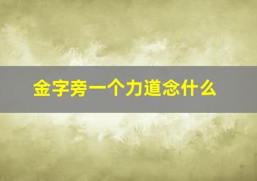 金字旁一个力道念什么