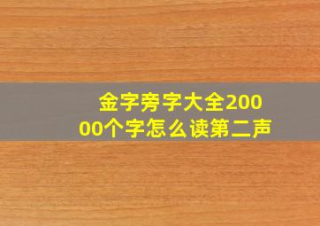 金字旁字大全20000个字怎么读第二声