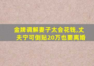 金牌调解妻子太会花钱,丈夫宁可倒贴20万也要离婚