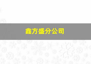 鑫方盛分公司