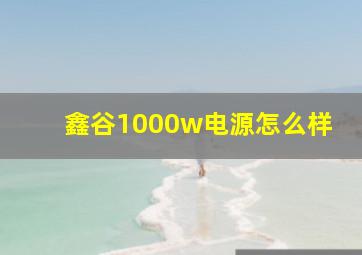 鑫谷1000w电源怎么样