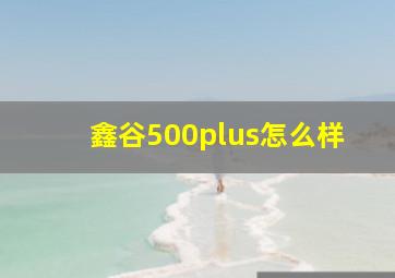 鑫谷500plus怎么样