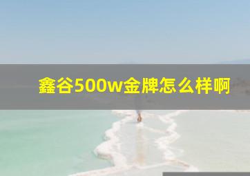 鑫谷500w金牌怎么样啊