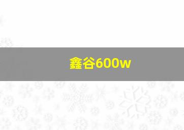 鑫谷600w