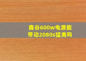 鑫谷600w电源能带动2080s猛禽吗