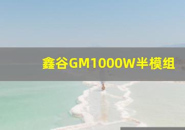 鑫谷GM1000W半模组