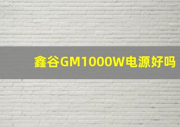 鑫谷GM1000W电源好吗