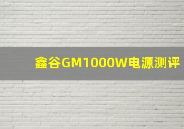 鑫谷GM1000W电源测评