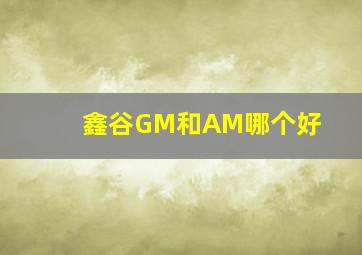 鑫谷GM和AM哪个好