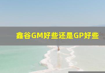 鑫谷GM好些还是GP好些