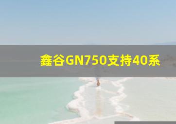 鑫谷GN750支持40系