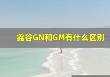 鑫谷GN和GM有什么区别