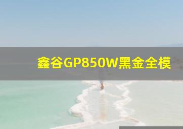 鑫谷GP850W黑金全模