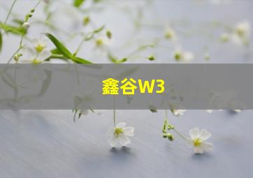 鑫谷W3