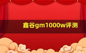 鑫谷gm1000w评测