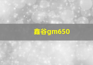 鑫谷gm650