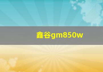 鑫谷gm850w