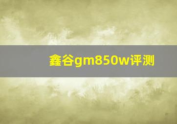 鑫谷gm850w评测