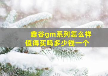 鑫谷gm系列怎么样值得买吗多少钱一个