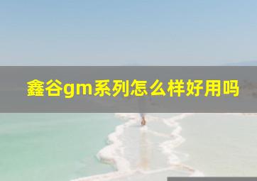 鑫谷gm系列怎么样好用吗