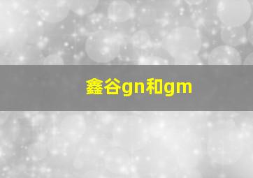 鑫谷gn和gm