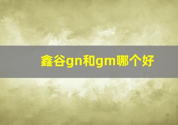 鑫谷gn和gm哪个好