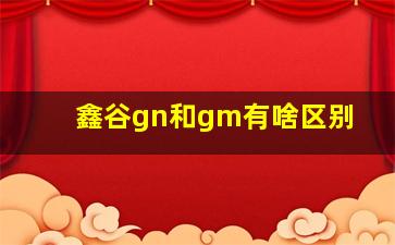 鑫谷gn和gm有啥区别