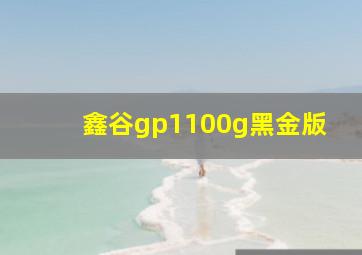 鑫谷gp1100g黑金版