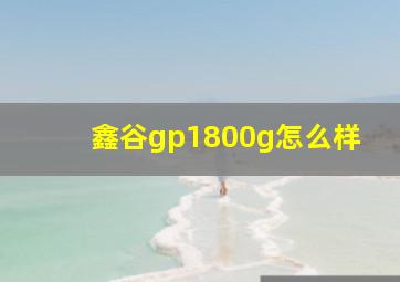 鑫谷gp1800g怎么样