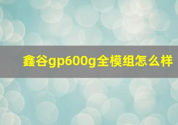 鑫谷gp600g全模组怎么样